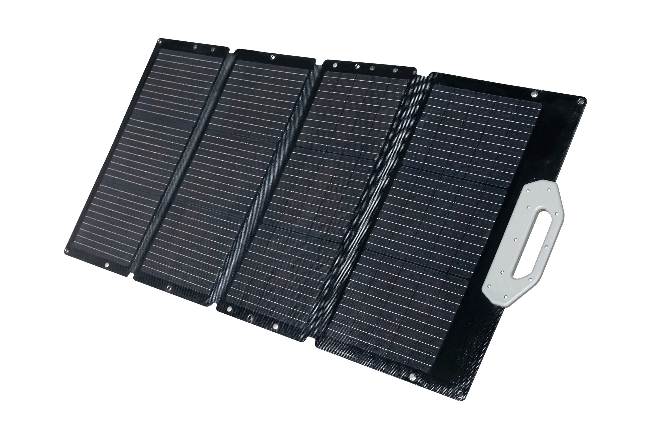 SP100 Taşınabilir Solar Panel